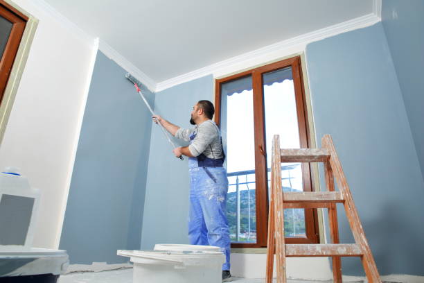 Best Post-Construction Mold Inspection  in Penn Valley, CA