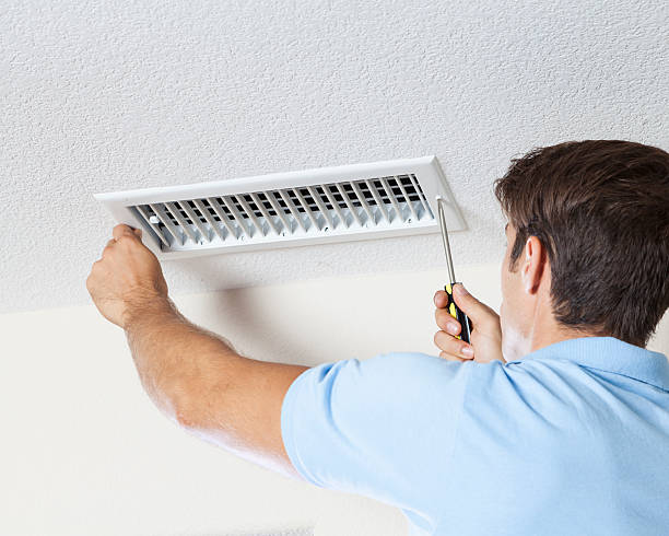 Best Crawl Space Mold Remediation  in Penn Valley, CA