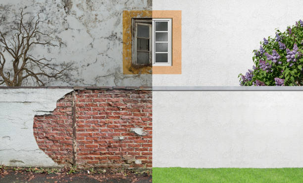 Best Real Estate Mold Inspection  in Penn Valley, CA