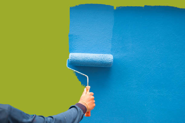 Mold Odor Removal Services in Penn Valley, CA